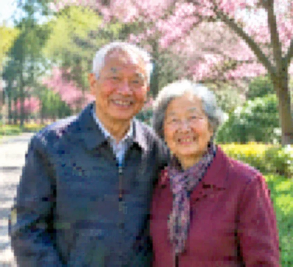 Original photo: blurry, compressed portrait of an elderly couple