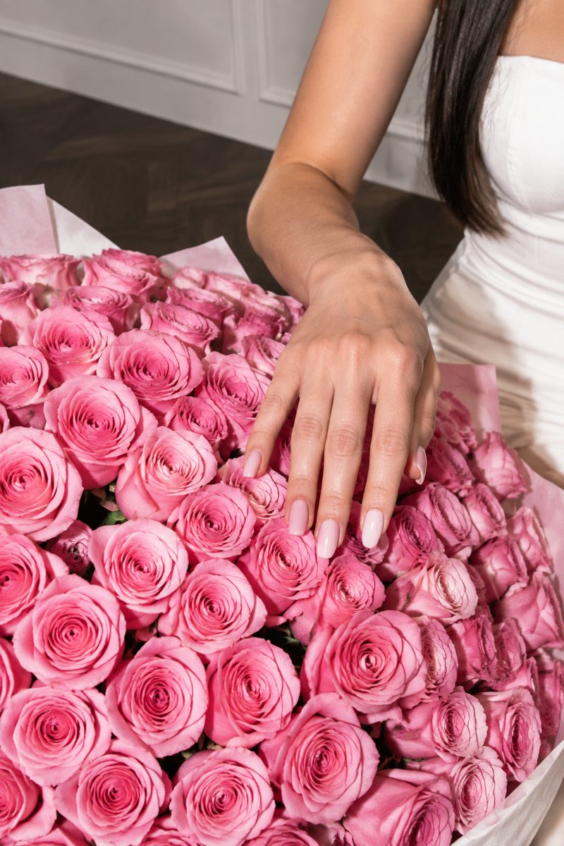Pink roses — shot 15